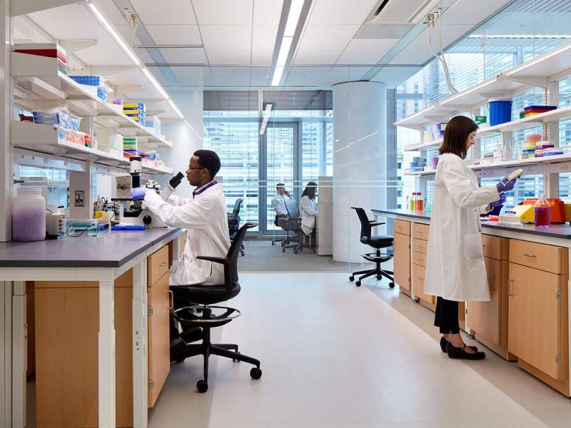 Life sciences and healthcare image